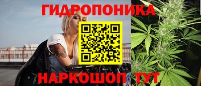 2c-b Северобайкальск