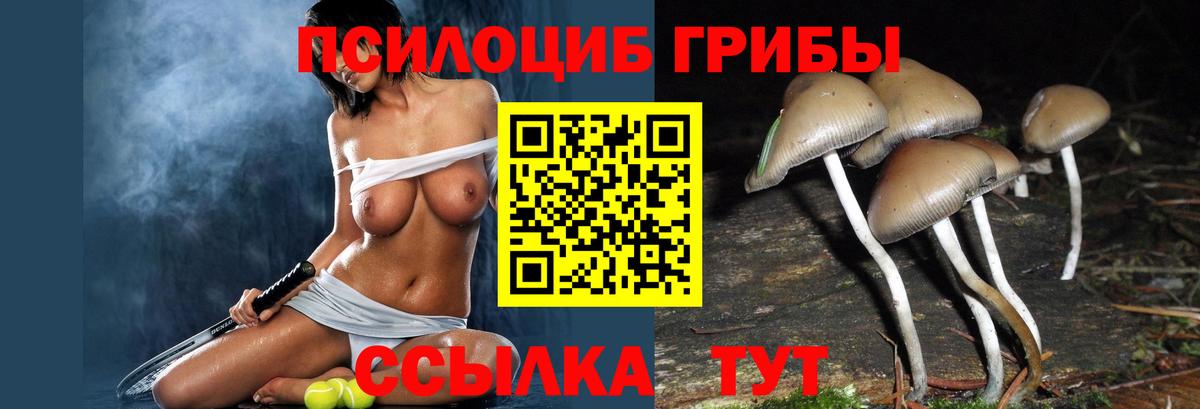 Гатчина  Галлюциногенные грибы GOLDEN TEACHER  Галлюциногенные грибы прущие грибы  Вход с VPN 